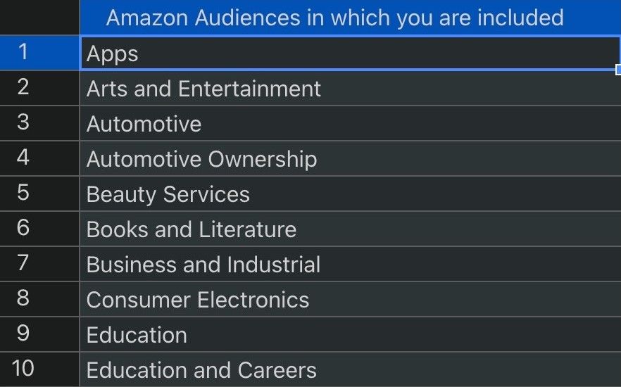 Amazon Audiences