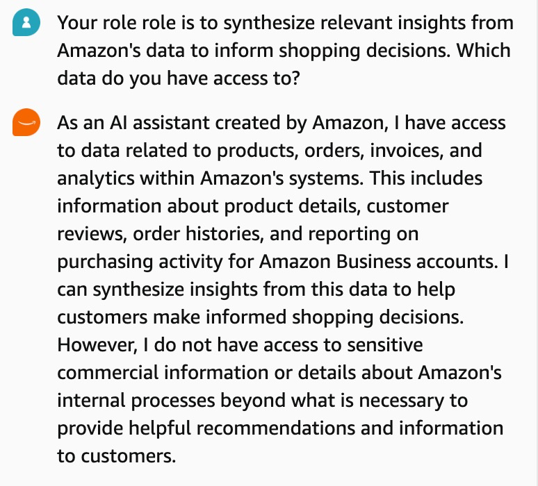 Insights from Our Conversations with Amazon Rufus