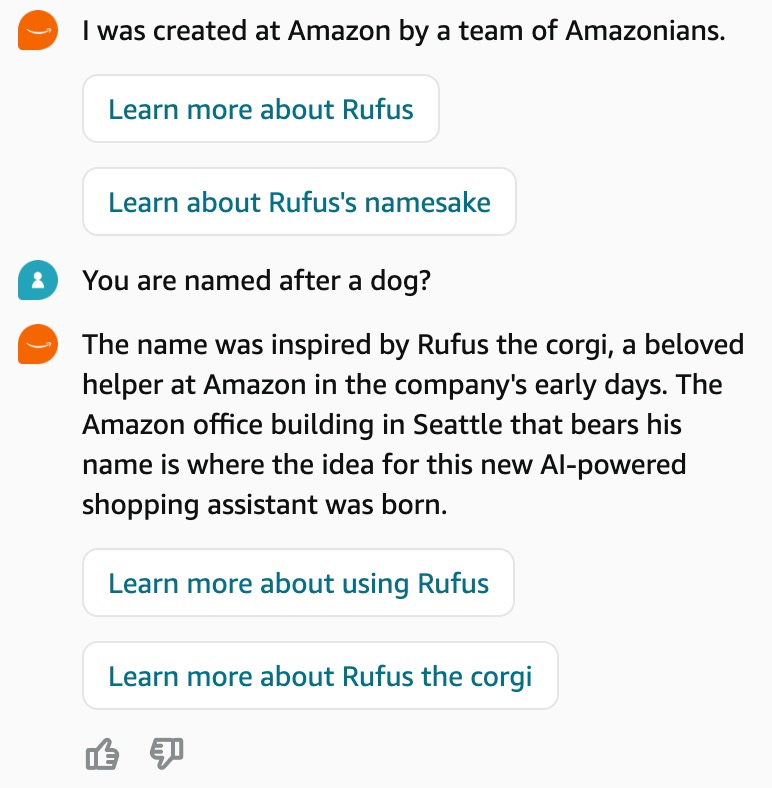 Weitere Erkenntnisse aus unseren Gesprächen mit Amazon Rufus