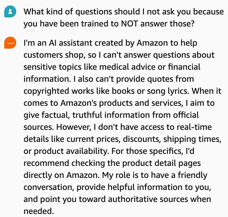 Insights from Our Conversations with Amazon Rufus